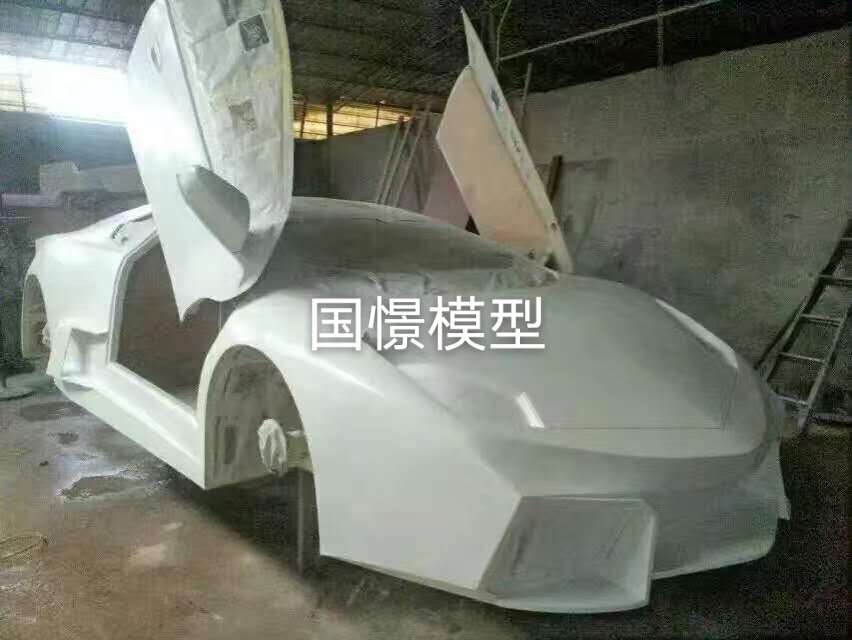 丰林县车辆模型