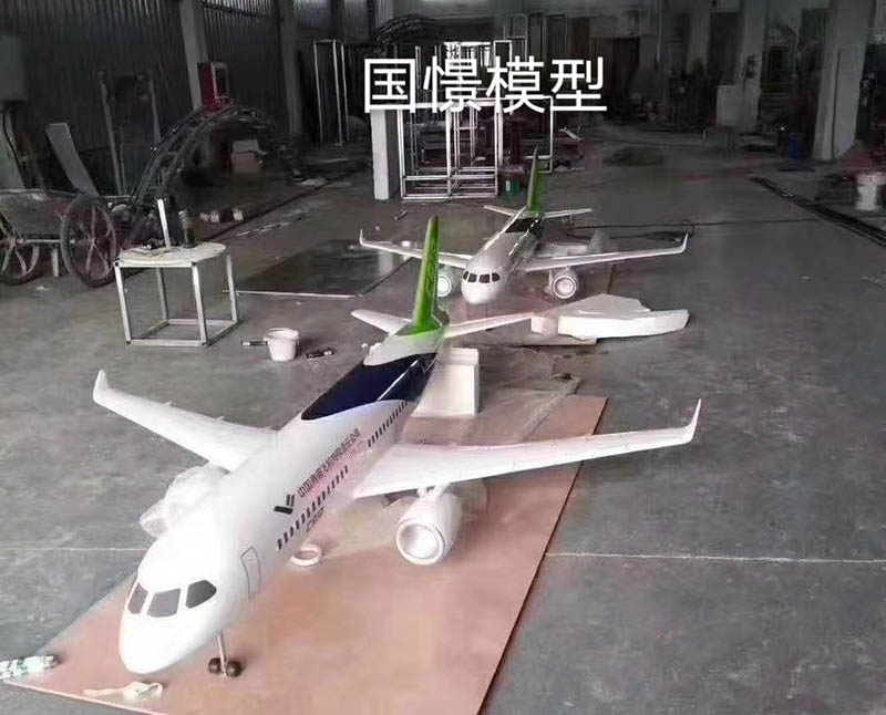 丰林县飞机模型