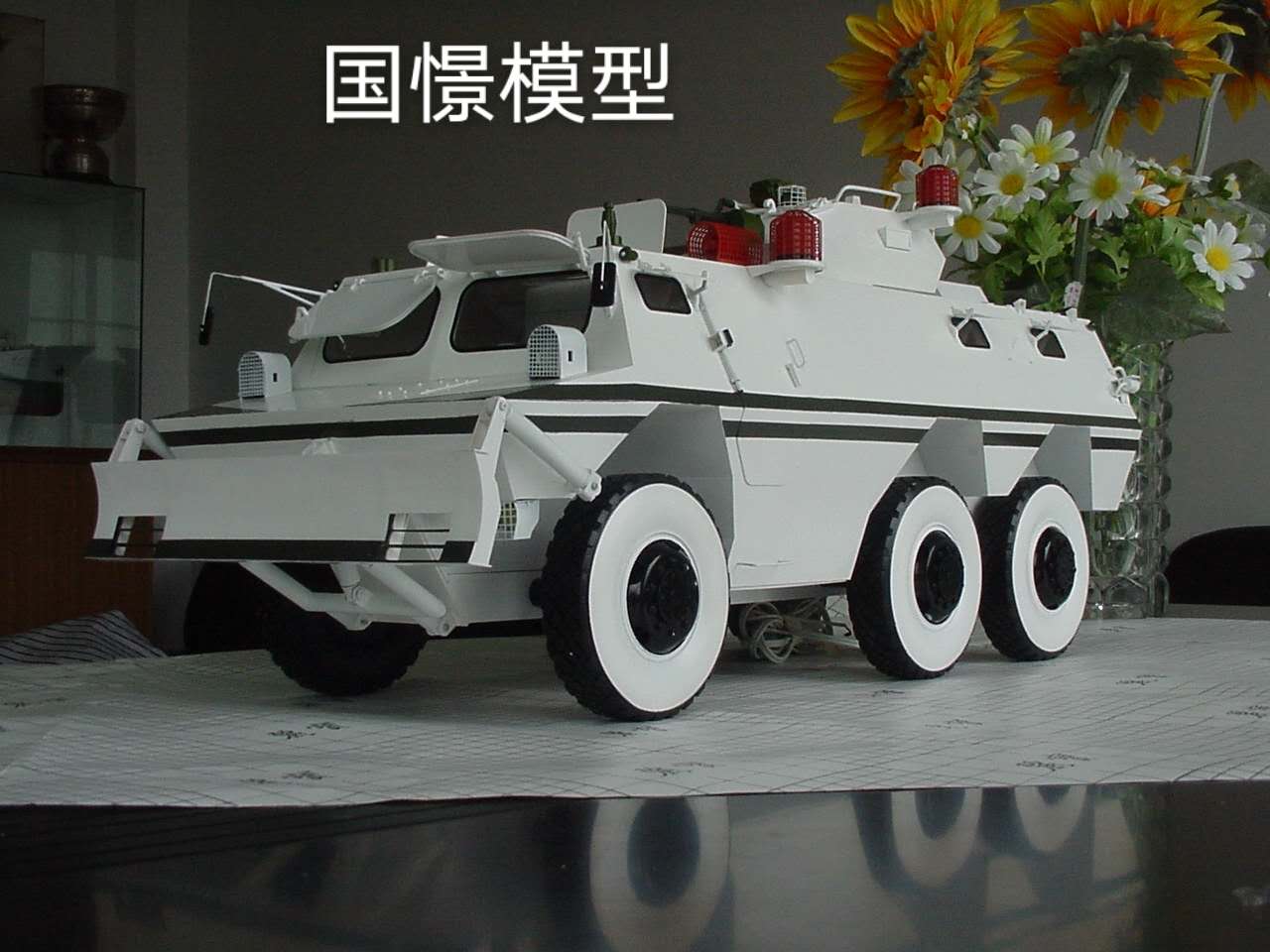 丰林县军事模型